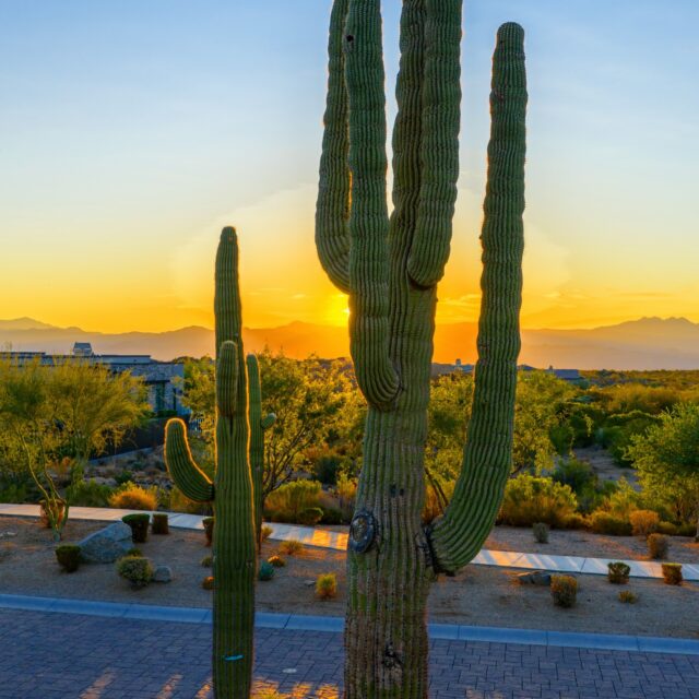 Absolutely Love Scottsdale, more to come.